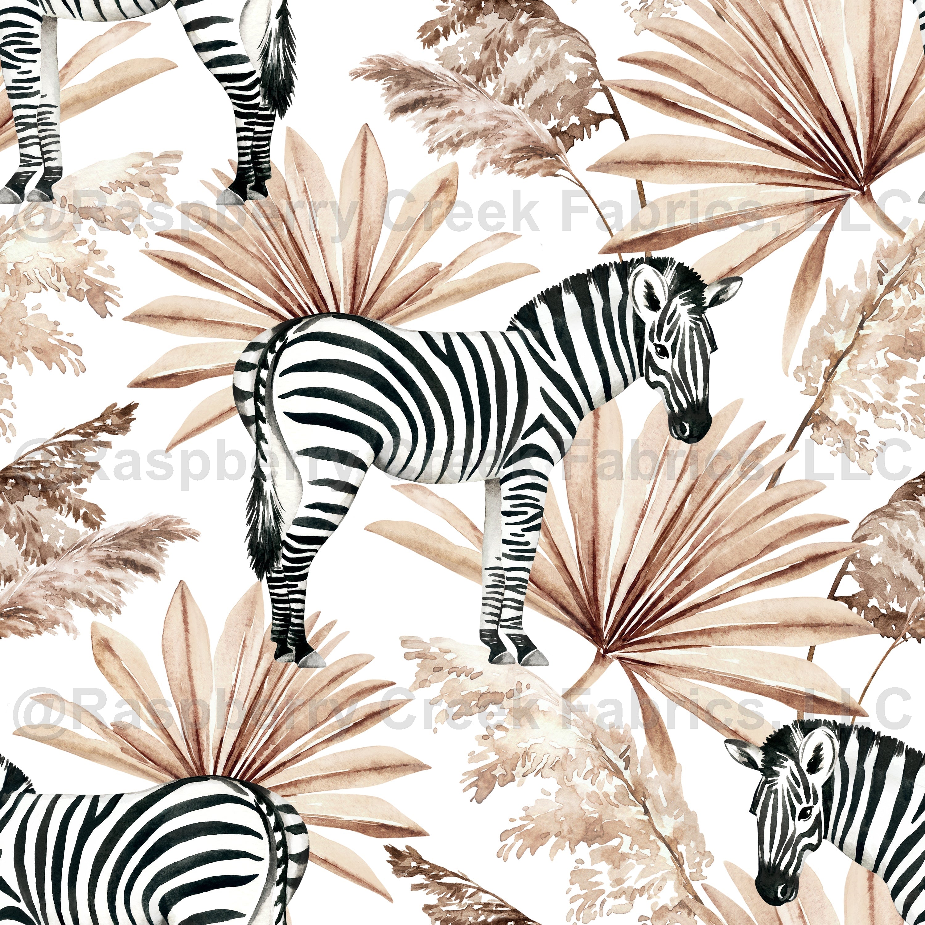 Zebra with dried palm leaves by MirabellePrint / White background