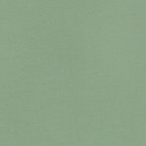 Solid Deep Sage Green 4 Way Stretch 10 oz Cotton Lycra Jersey Knit Fabric, Raspberry  Creek Fabrics