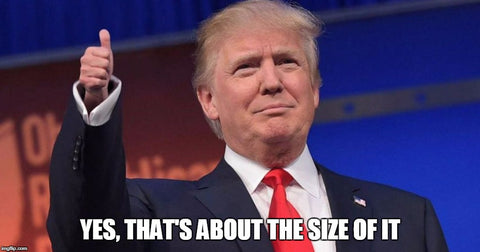 Donald Trump tiny hands meme