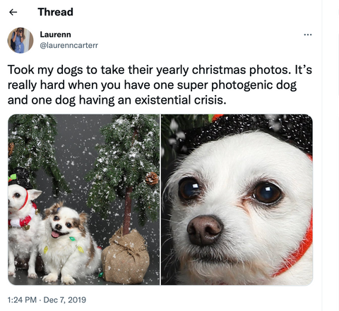 Happy and sad dogs Christmas photo with Santa