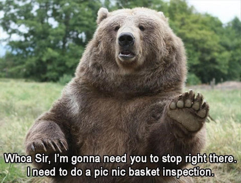 A meme of a brown bear asking to do a picnic basket inspection