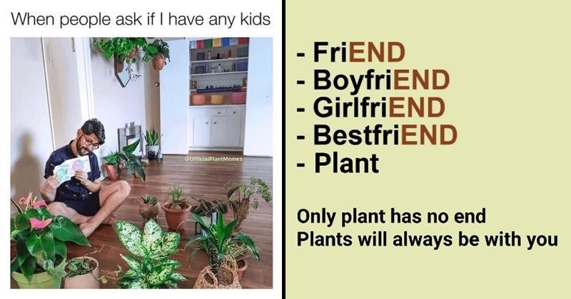 Meme about having plants instead of friends