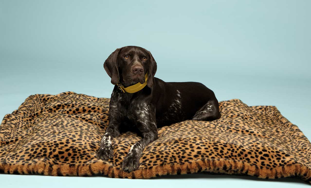 Faux Fur Blanket Cheetah Hector Hartley