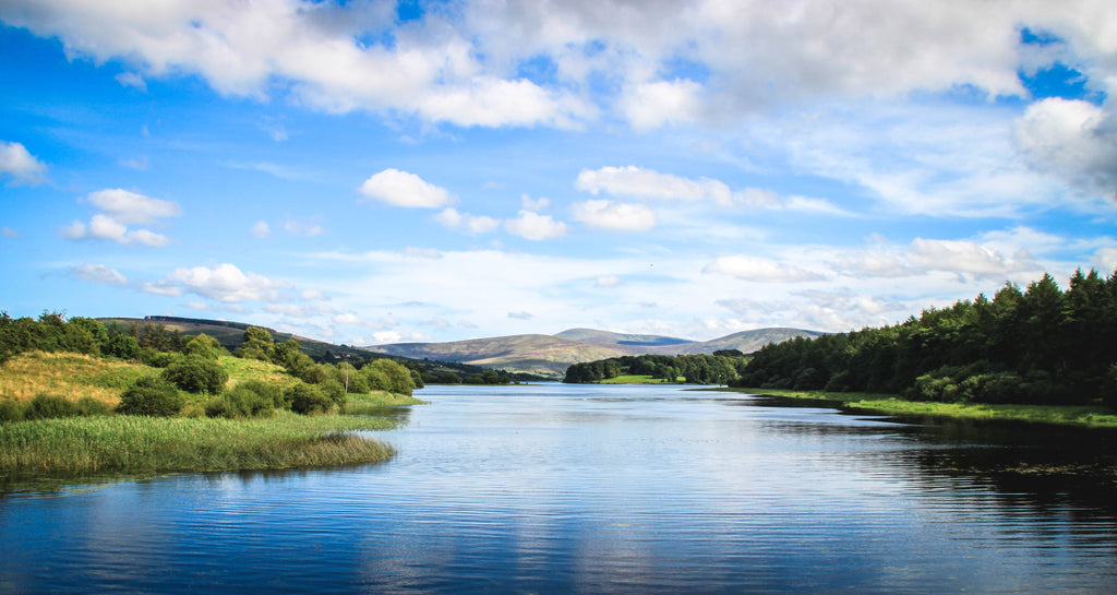 Blessington Lake