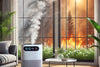 air purifier help with wildfire smoke