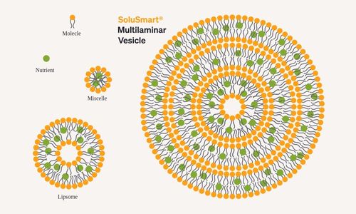 SoluSmart® graphic from iüLabs comparing SoluSmart with Liposomes, showing how iüLabs has a higher loading capacity than other supplements