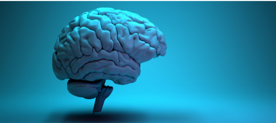 blue graphic of a brain with detail of the brain on a blue background