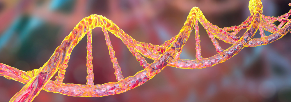 DNA helix symbolizing internal exposome