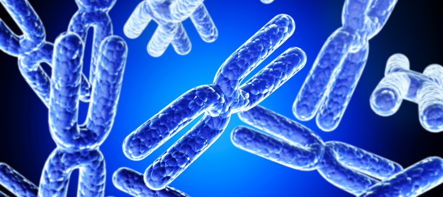 blue x chromosomes in plasma