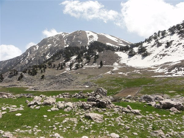 Beycik Plateau