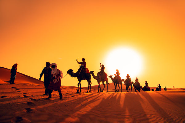 Camel Riding Desert