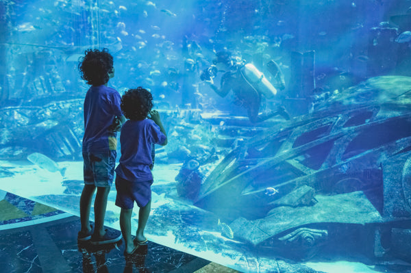 Two Kids At Aquarium