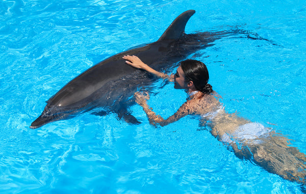 a woman Swimming with Dolphin