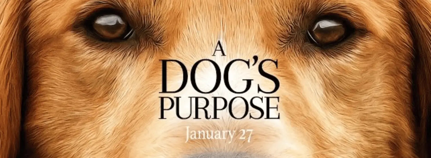 A Dog's Purpose-dog-movies