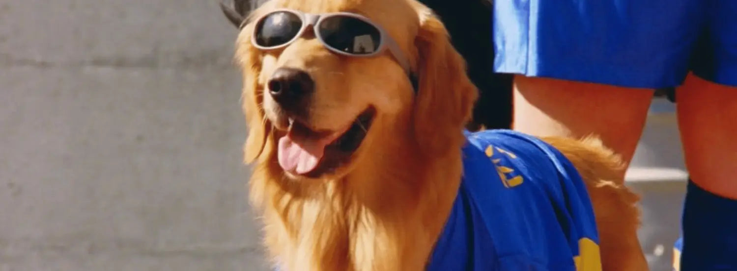 Air Bud-dog-movies