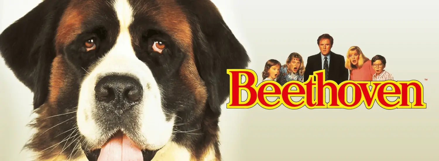 Beethoven -dog-movies