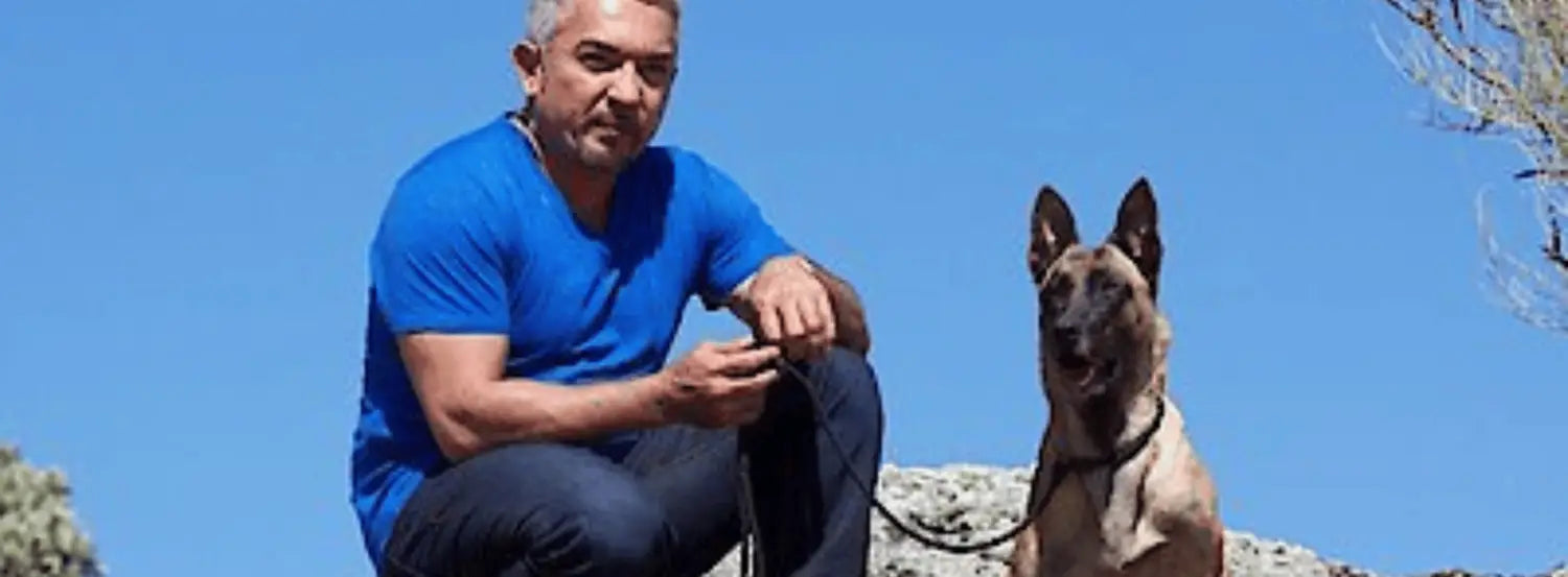 Cesar Millan's Leader of the Pack  Tv Shows
