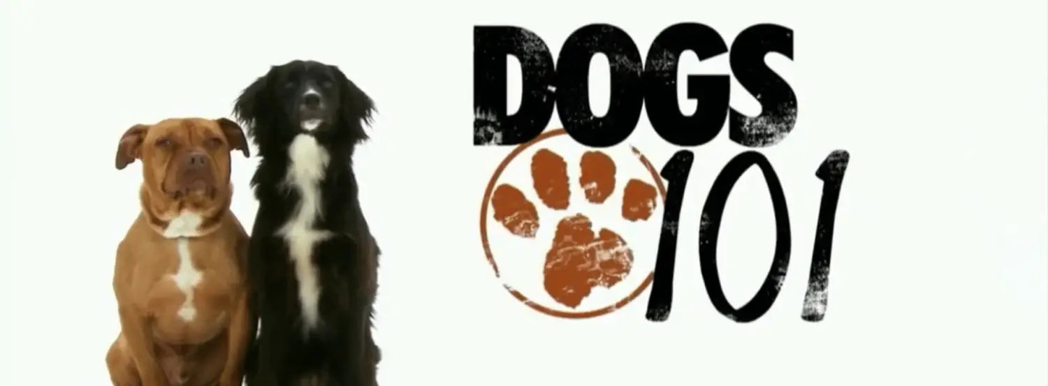 Dogs 101  Tv Shows