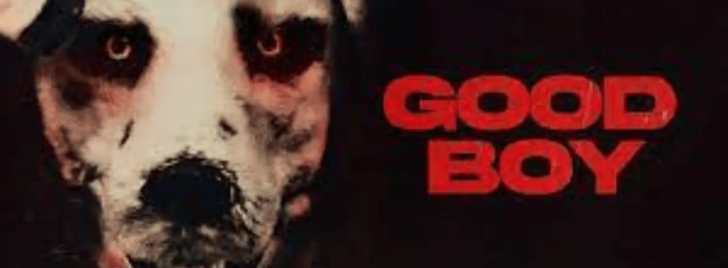 Good Boy-dog-movies