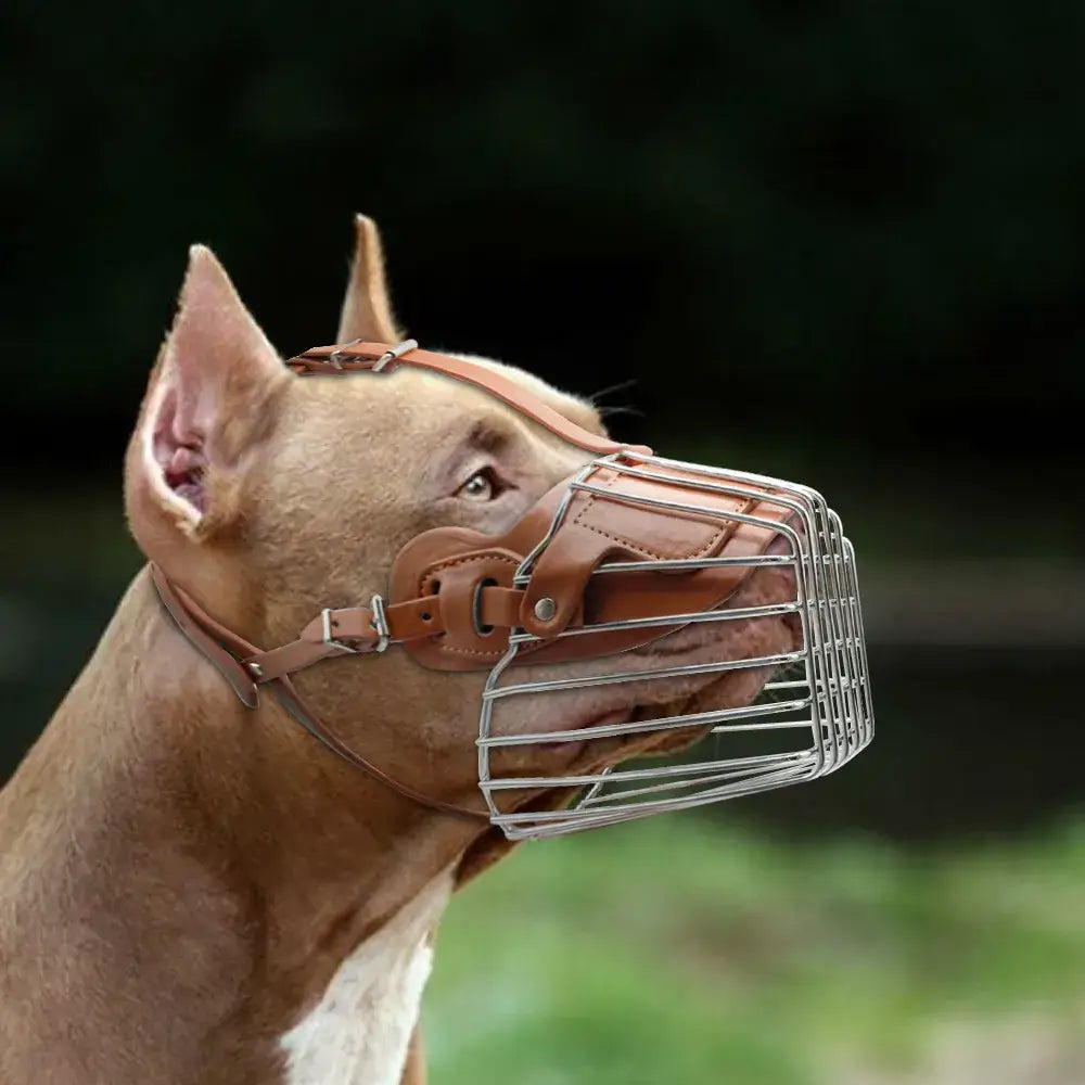 Metal Basket Dog Muzzle