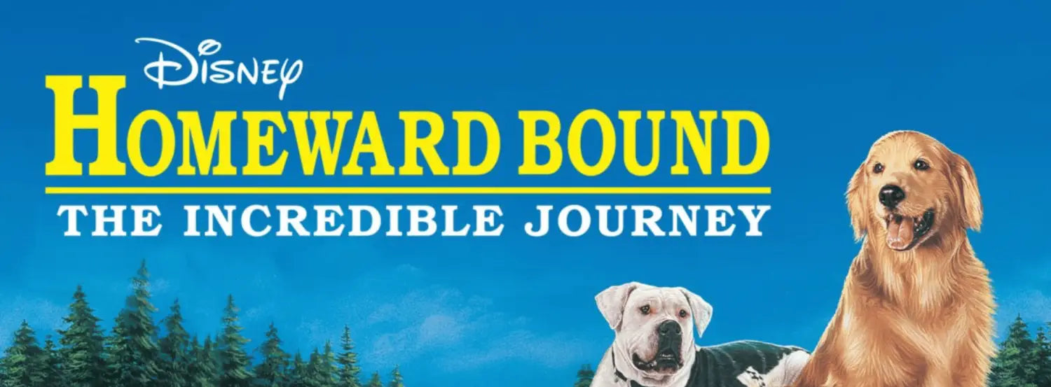 Homeward Bound-dog-movies