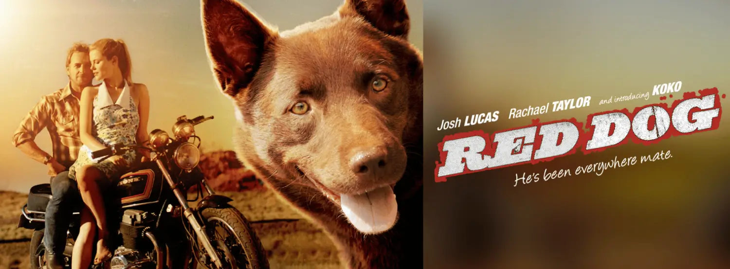 Red Dog movies