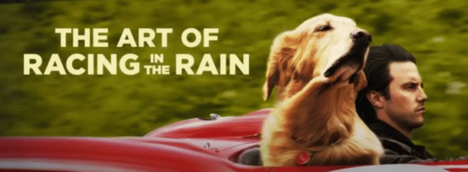 The Art of Racing in the Rain movies