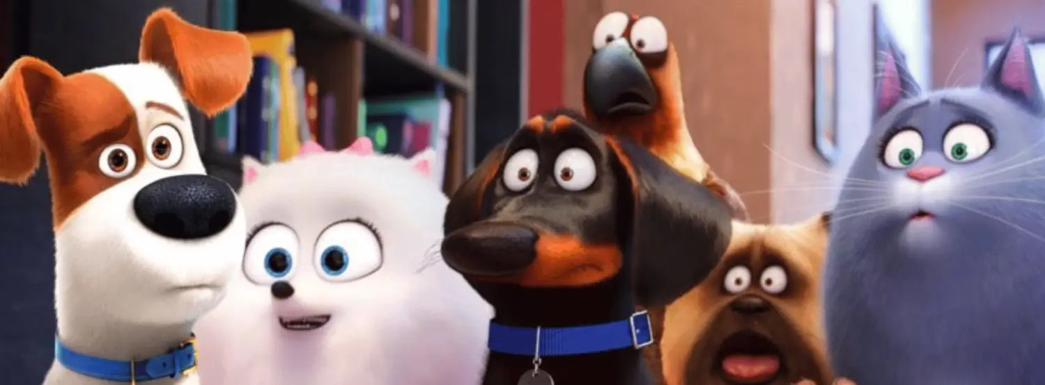 The Secret Life of Pets-dog-movies