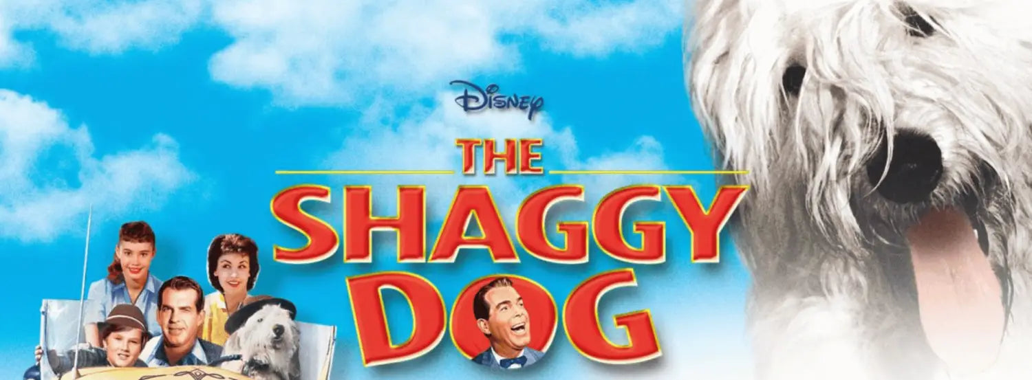 The Shaggy -dog-movies