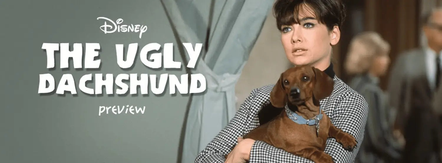 The Ugly Dachshund movies