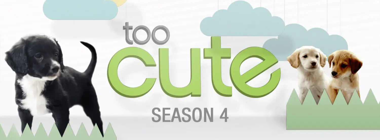 Too Cute Tv Shows