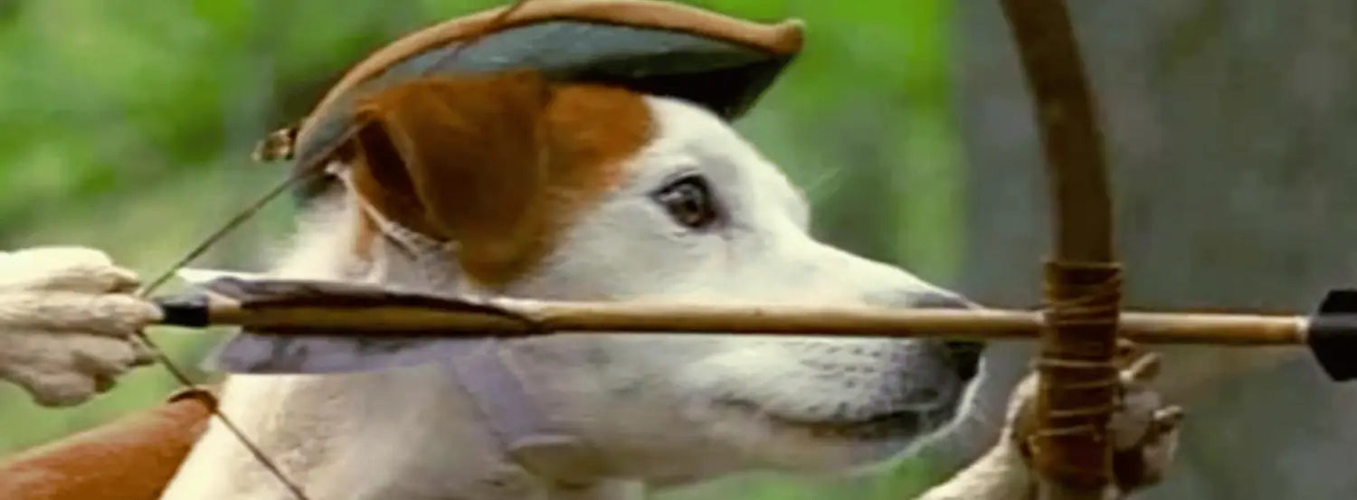 Wishbone  Dog  Tv Shows