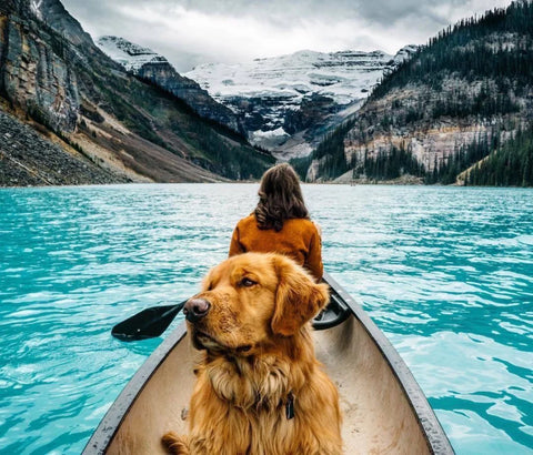 beautiful-golden-retriever-in-a-boat-with-owners-in-mountain-river