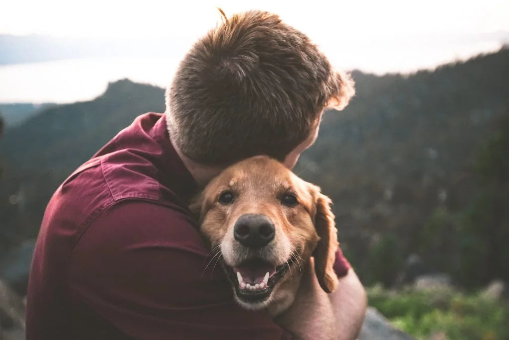 happy-golden-retriever-with-owner-cuddling