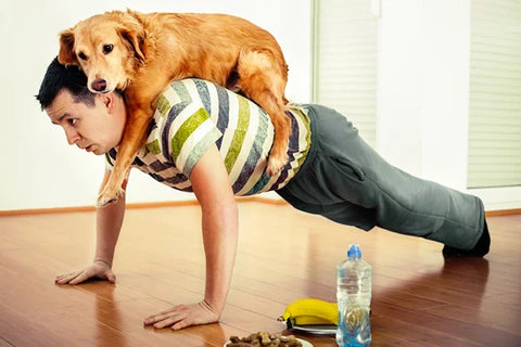human-workout-with-dog
