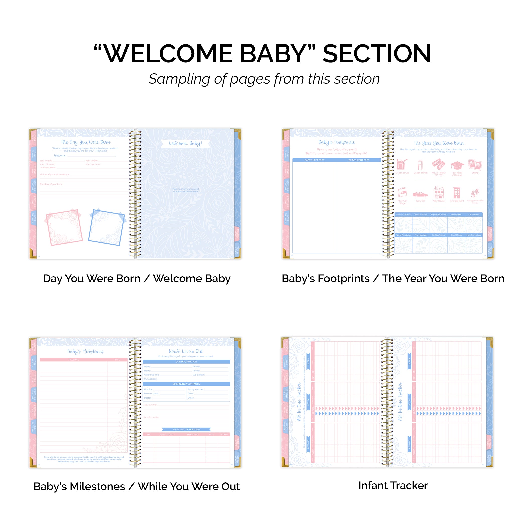 new product pregnancy baby