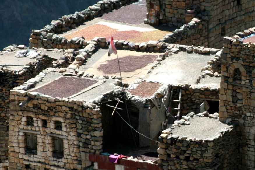 Coffee Drying on Rooftops of Houses in Yemen