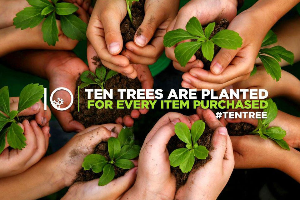 Ten Tree International