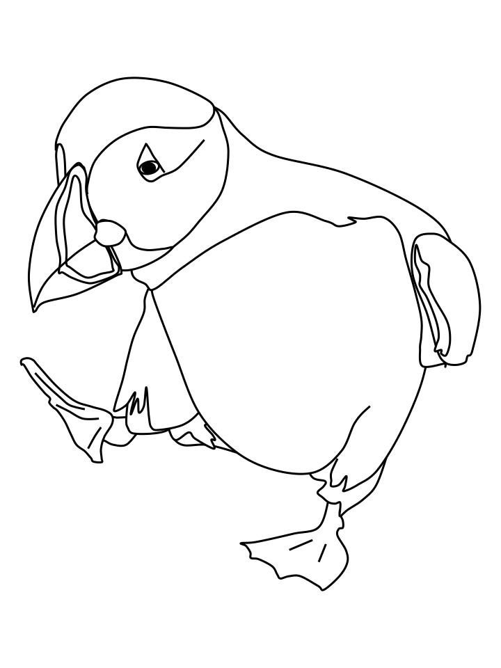 Dancing Puffin