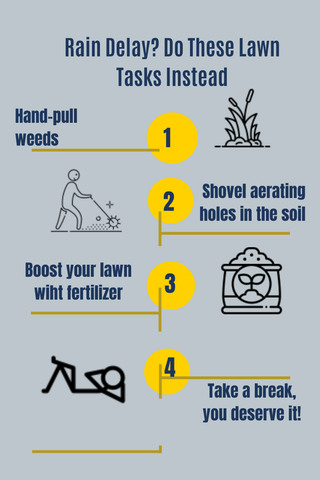 inforgraphics recommends what lawn tasks to do during rainy weather