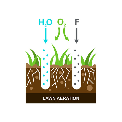 aeration process infographics