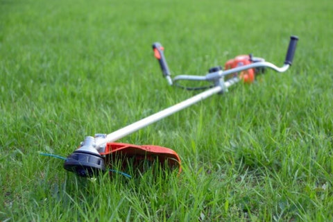 The grass trimmer is lying on the green grass ground