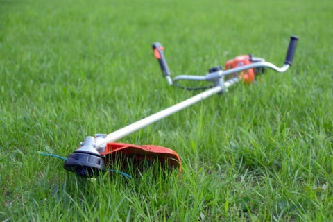 String trimmer on the grass