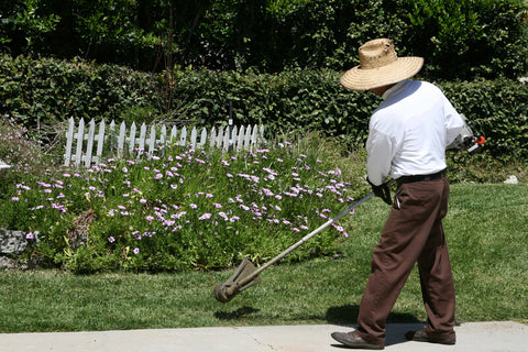 A worker using the lawn edger to edge the lawn