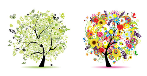 An infographic of two trees representing the spring and summer seasons
