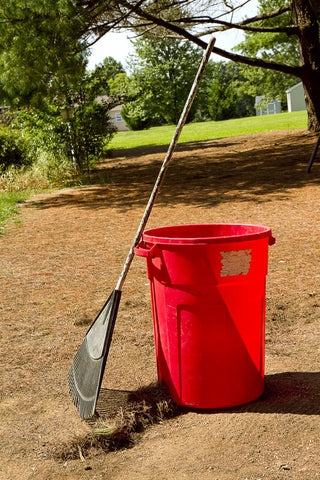 a backet and a rake in the yard