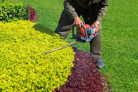 A  man uses the hedge trimmer to trim a bush
