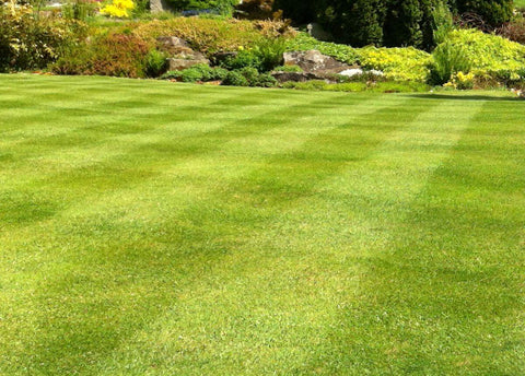 checkboard - like grass pattern