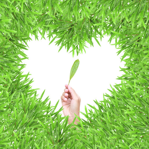 isolated green heart grass photo frame with hand