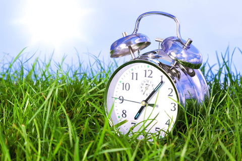 an alarm clock on the grass illustration